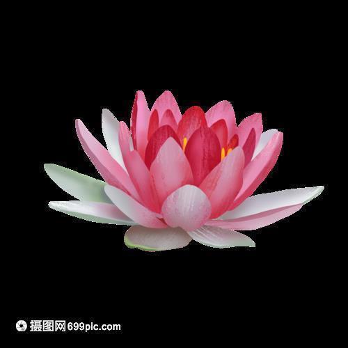 漂零蓬断
