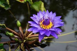 教师新学期开学寄语简短(精选61条)