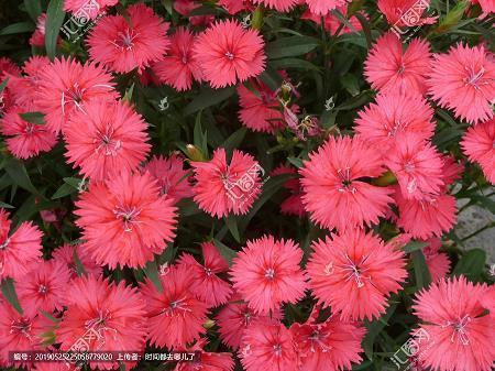 万能面试名言警句50句