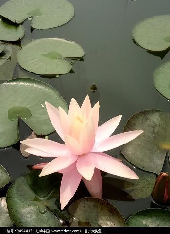 心灰意冷