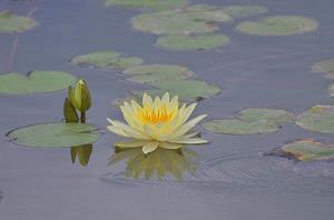 衣锦昼游