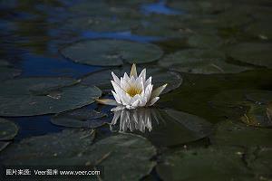 祝福长辈乔迁新居贺词(精选38条)