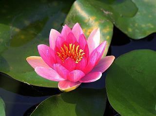 立冬时节走心祝福文案2021年(精选88条)