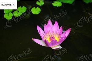烟消云散