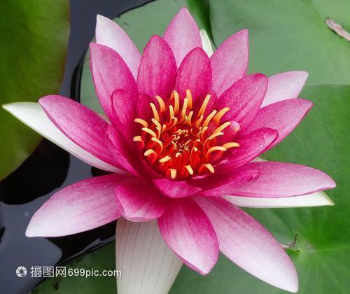 乖缪