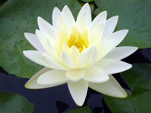 送给同学的毕业祝福语2020