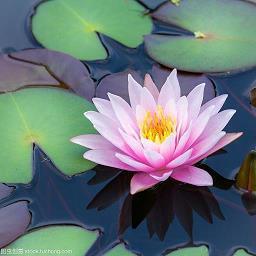 春节朋友店铺开业祝福语