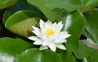 续假