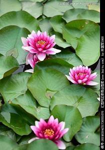 打打闹闹