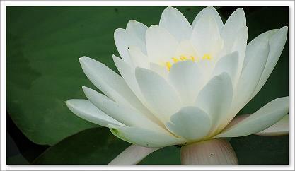 教师节祝福老师的祝福语汇编30句