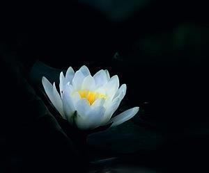 惪