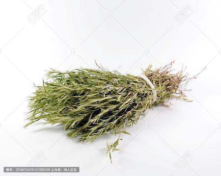 平安夜整人祝福语精选
