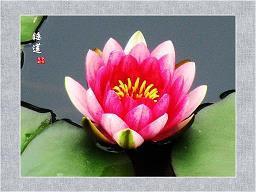 早上给女朋友问候短信