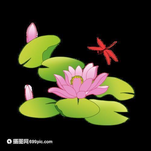 头出头没