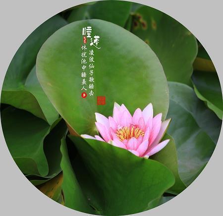 桑弧矢志