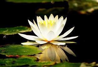 时时刻刻都在想你的说说 想你的说说微信心情短语