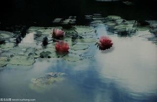 革命反正