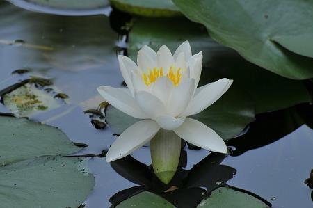深吻