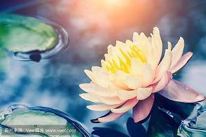 新春暗示群友发红包的句子