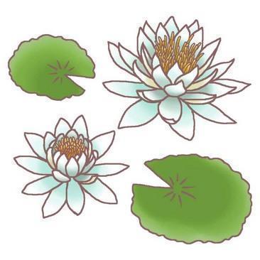 谖
