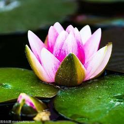 河