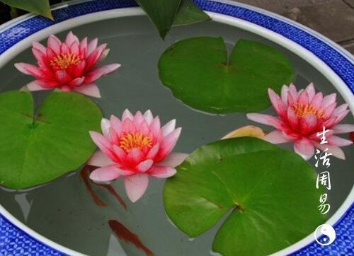 思贤如渴