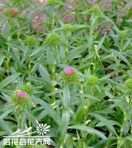 节俭的格言 以节俭为主题的名言
