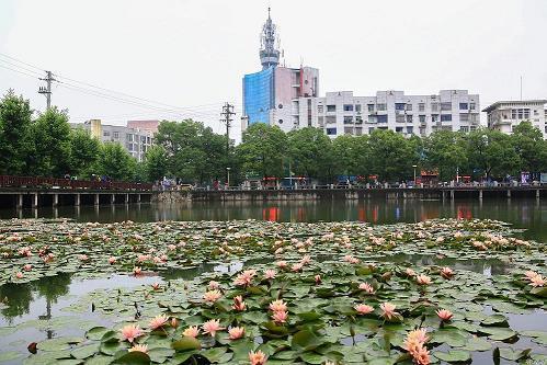 满怀