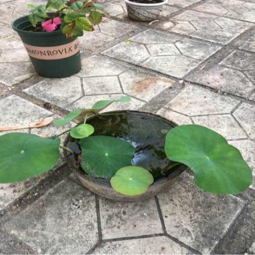 最简短的建军节唯美祝福文案(精选77条)