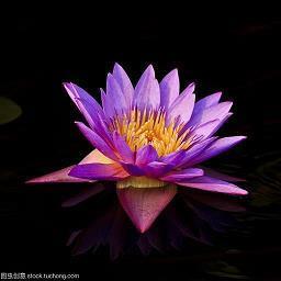 翻脸无情