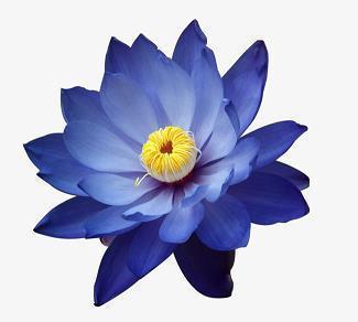 探病康复祝福语大全