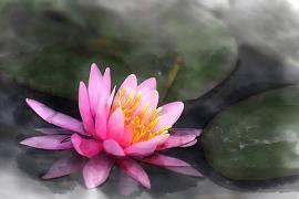 龙艘