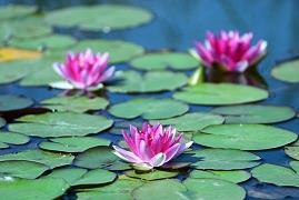 愚人节整人短信2020