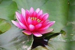 一个人心累伤感语录汇编33句