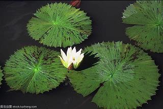 简短文艺小清新离别祝福语