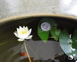 重寄