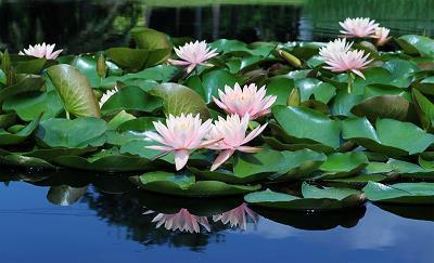 祝朋友生日快乐祝福语创意