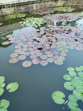 高情商的圣诞快乐祝福文案