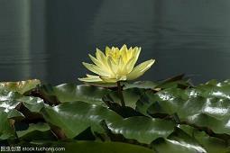 教师节祝福老师的经典句子(精选70条)