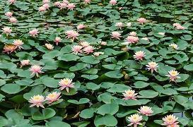 除旧更新