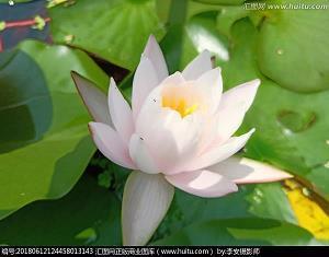 迎神赛会