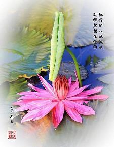 深入浅出