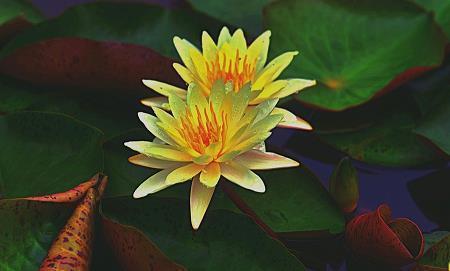除夕夜幽默祝福语