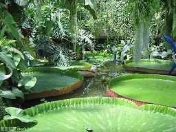 适合2021大暑搞笑说说朋友圈文案_大暑搞笑说说朋友圈文案