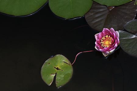 数学老师教师节祝福语2021年(精选59条)
