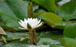 受了伤发朋友圈的心情短语