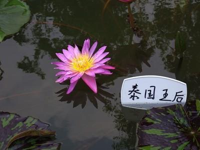 秀出