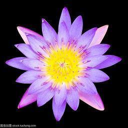 东阁