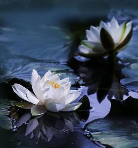 母亲节贺卡祝福语大全三年级合集89句