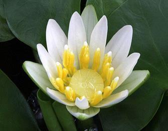 给朋友的五一国际劳动节祝福语